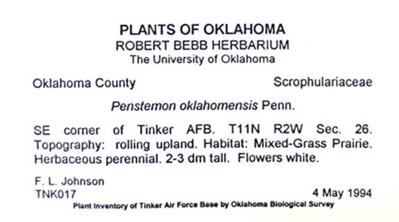 Herbarium specimen label