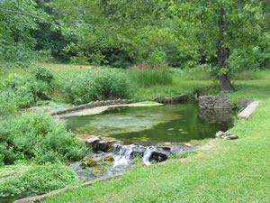 photo of Lowrance Spring