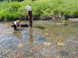 setting up stream experiment in Colorado