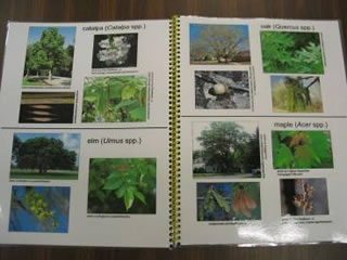 photobook showing the plants that produce the seeds we use