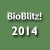 BioBlitz! Current Year Button