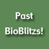 Past BioBlitzs! Button