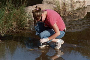 Collecting microbes