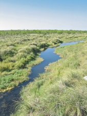 Spring at Monsanto Well