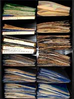 herbarium case