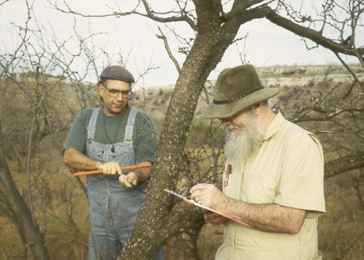 Botanizing in Kiowa County