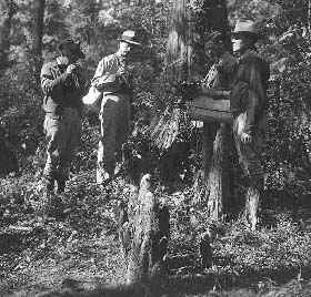Milton Hopkins,
		Bill Felkner, and George Lynn Cross collecting  plants  in 
		southeastern Oklahoma in 1937.