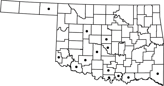 Bergia texana map