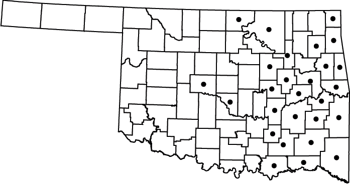 Betula nigra map