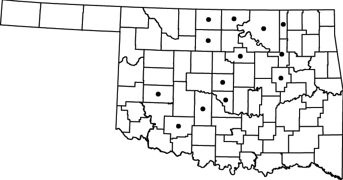 Conium maculatum map