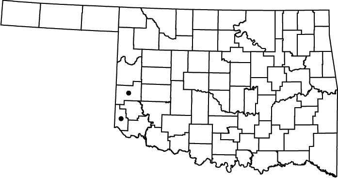 Cressa truxillensis map