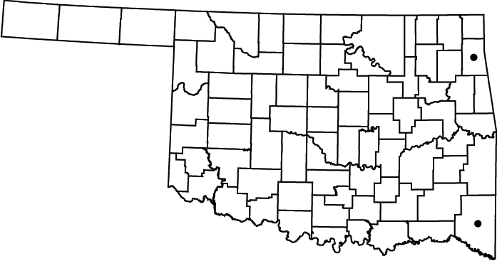 Cyperus flavescens map