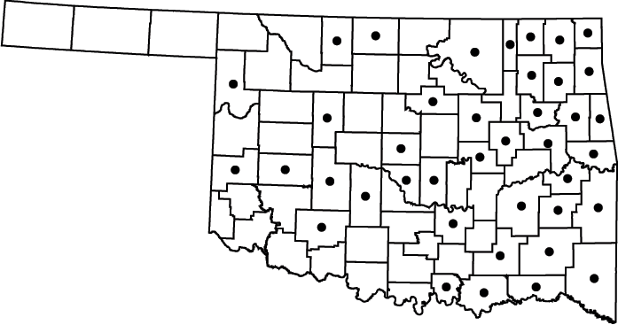 Eleocharis obtusa map