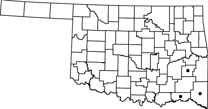 Euthamia leptocephala map