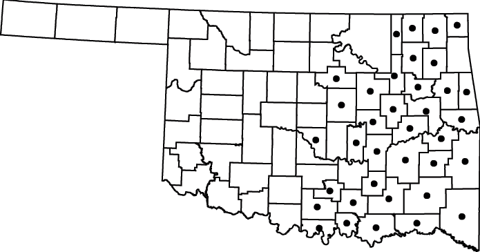 Ilex decidua map