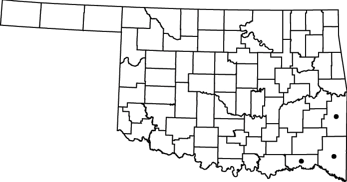 Itea virginica map