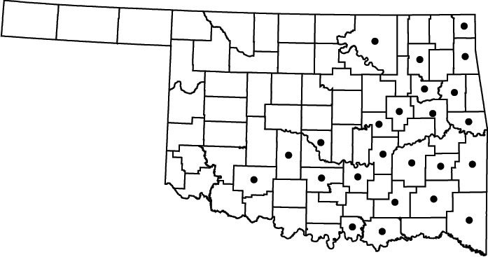 Juncus acuminatus map