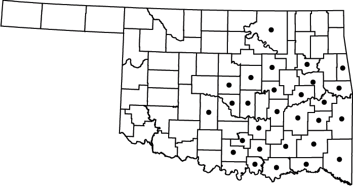 Juncus validus map