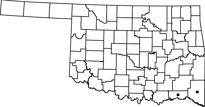 Oldenlandia boscii map