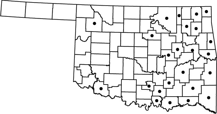 Panicum rigidulum map