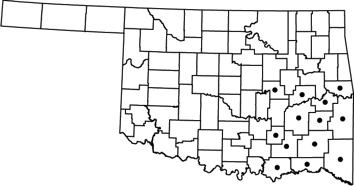 Quercus nigra map