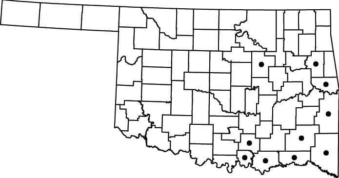 Ranunculus pusillus map