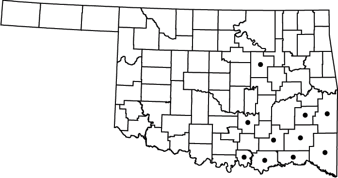 Rhynchospora glomerata map