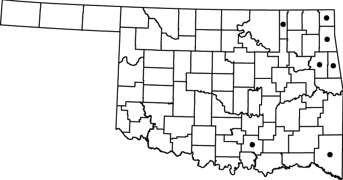 Rudbeckia laciniata map