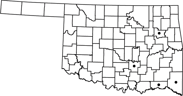 Rumex verticillatus map