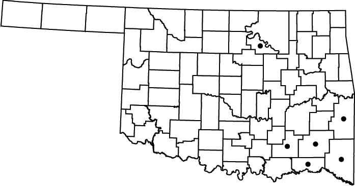 Scirpus cyperinus map