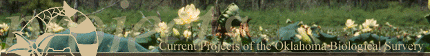 Project Banner